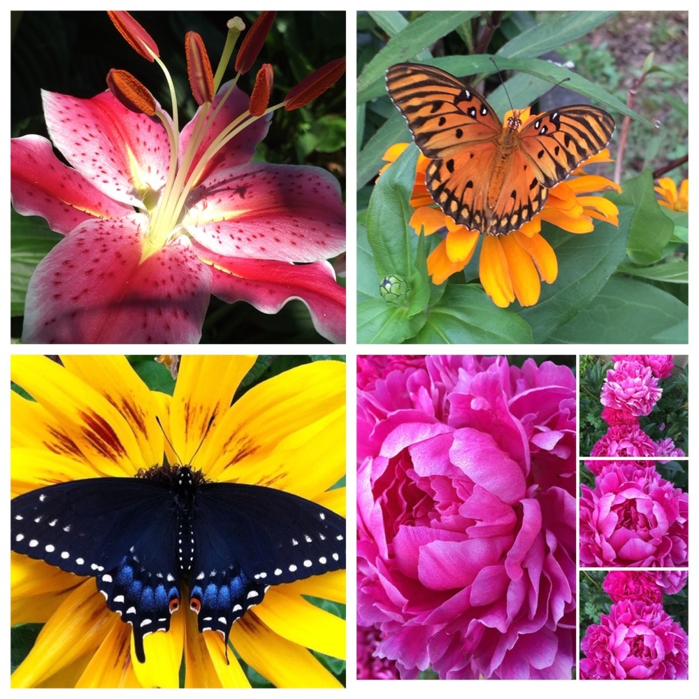 Hello Everyone🙋🏼‍♀️ - Picture 6 of 7